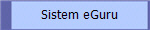 Sistem eGuru
